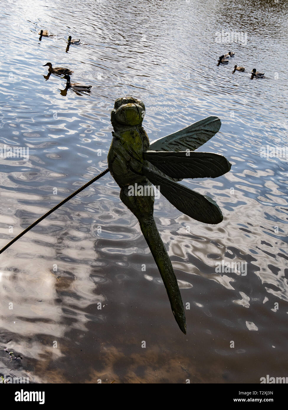 Holz- dragonfly Skulptur/Carving an einem See mit Enten Stockfoto