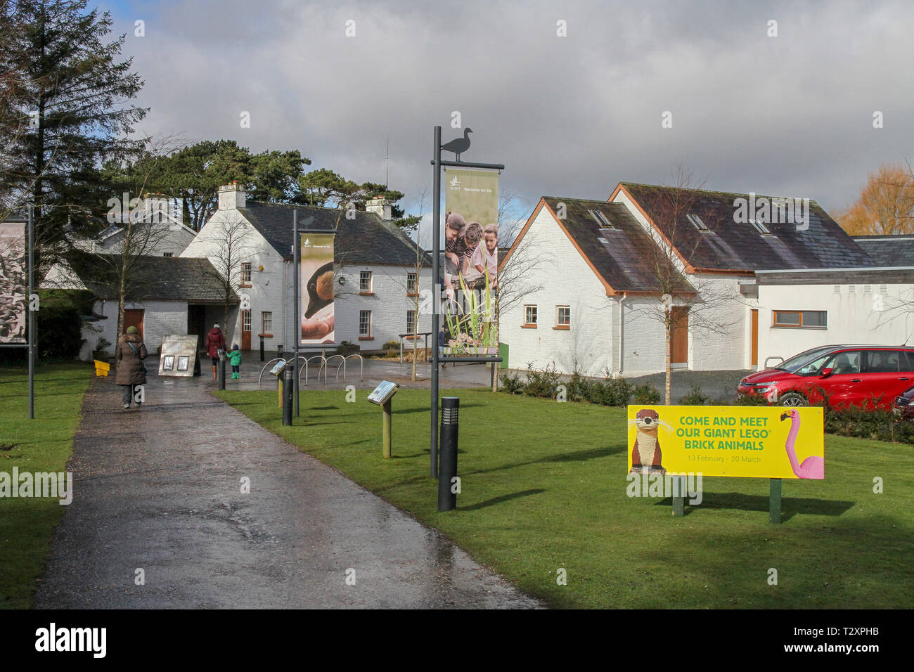 WWT Castle Espie finden, Comber, County Down, Nordirland. Stockfoto