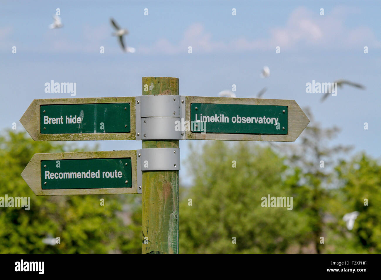 Schilder, Orten und Sehenswürdigkeiten an der Wildvogel Feuchtgebiete Vertrauen finden in Castle Espie, Comber, County Down, Nordirland. Stockfoto