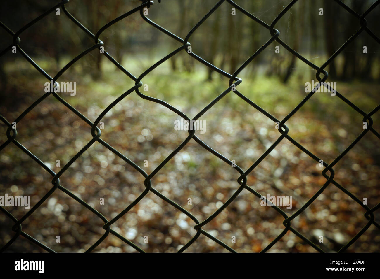 Nahaufnahme eines Maschendrahtzaun mit unscharfem Hintergrund. Stockfoto