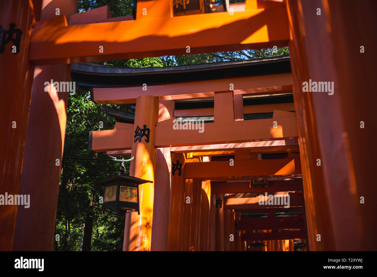 Torii Gates in Fushimi Inari Schrein in Kyoto, Japan Stockfoto