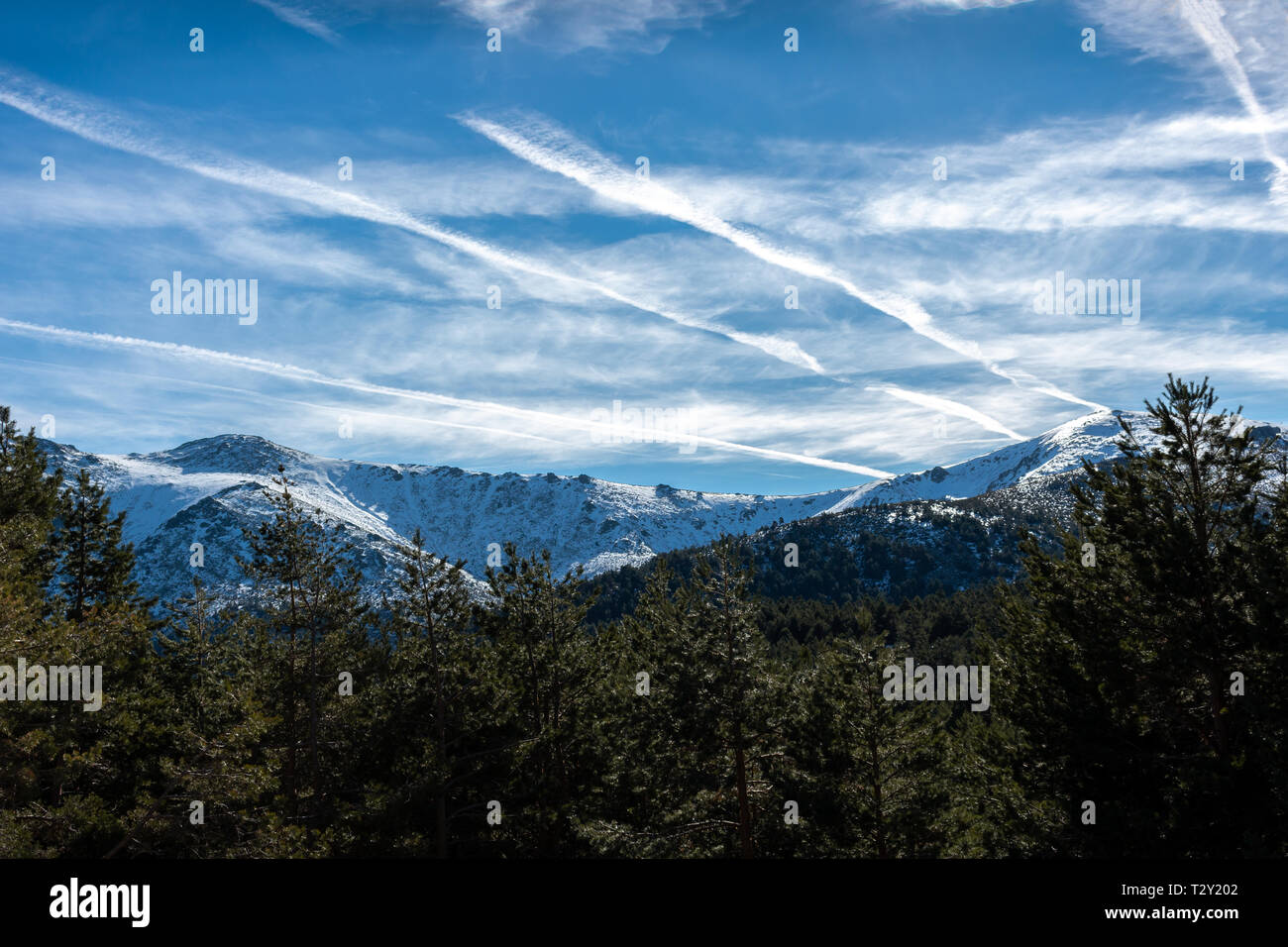 Snowy Mountains vor einem großen Wald Stockfoto