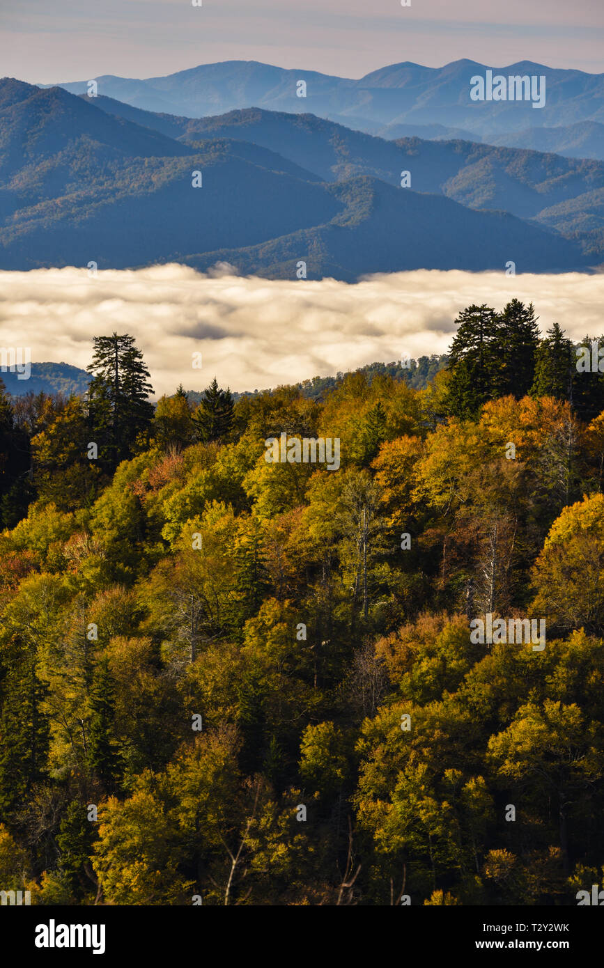 Spektakuläre Bergkette Vista mit Wolken im Tal, Newfound Gap in der Great Smoky Mountains National Park, Tennessee, USA. Stockfoto