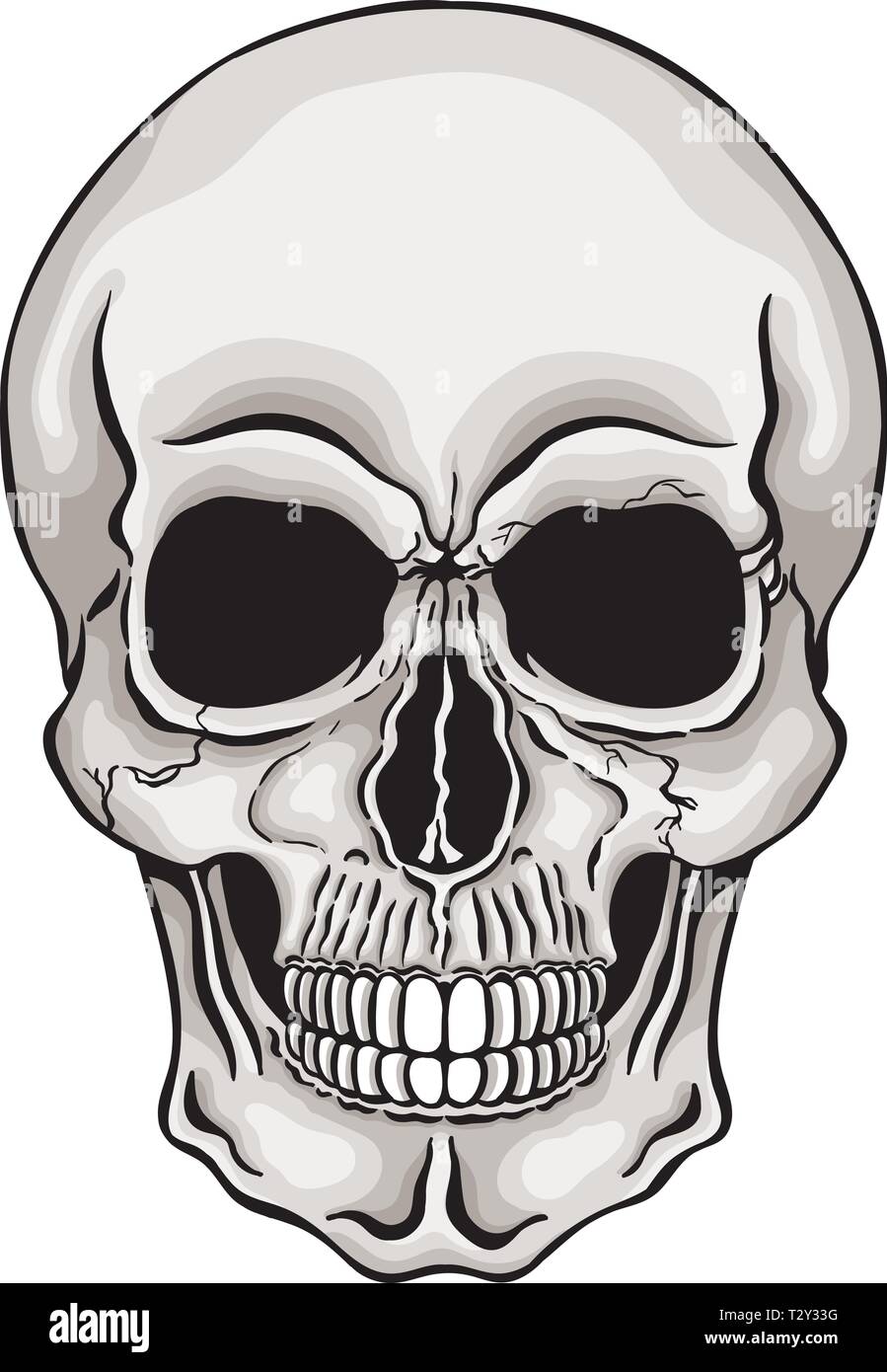 Vector Illustration des menschlichen Schädels. Stock Vektor