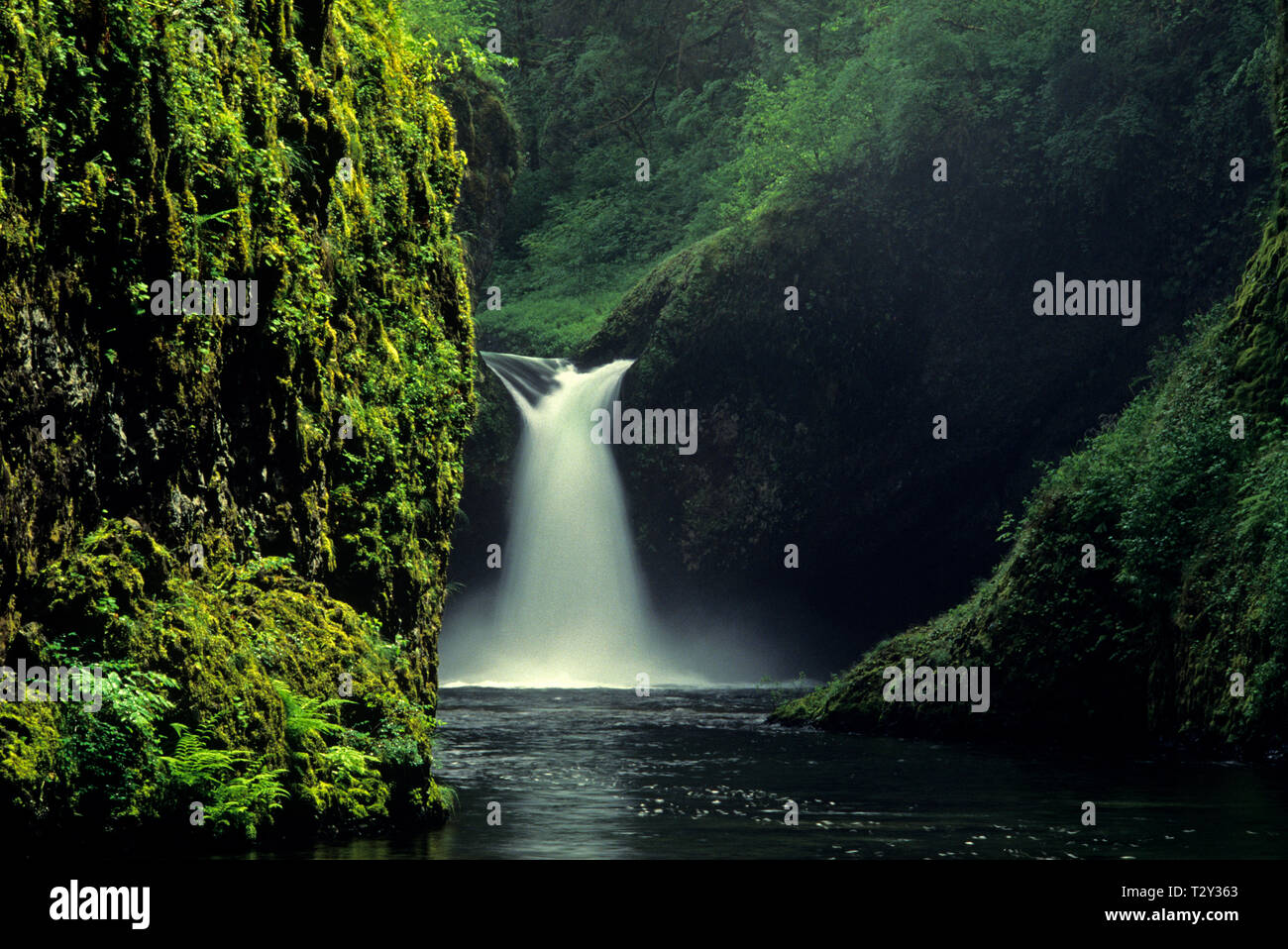 Punch Bowl mit Eagle Creek in Columbia River Gorge, Hood River County, Oregon, USA Stockfoto