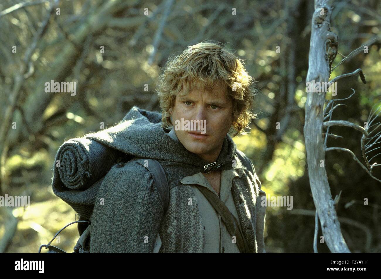 Der Herr Der Ringe Die Ruckkehr Des Konigs Ansehen Der Herr Der Ringe Die Ruckkehr Des Konigs Stockfotos und -bilder
