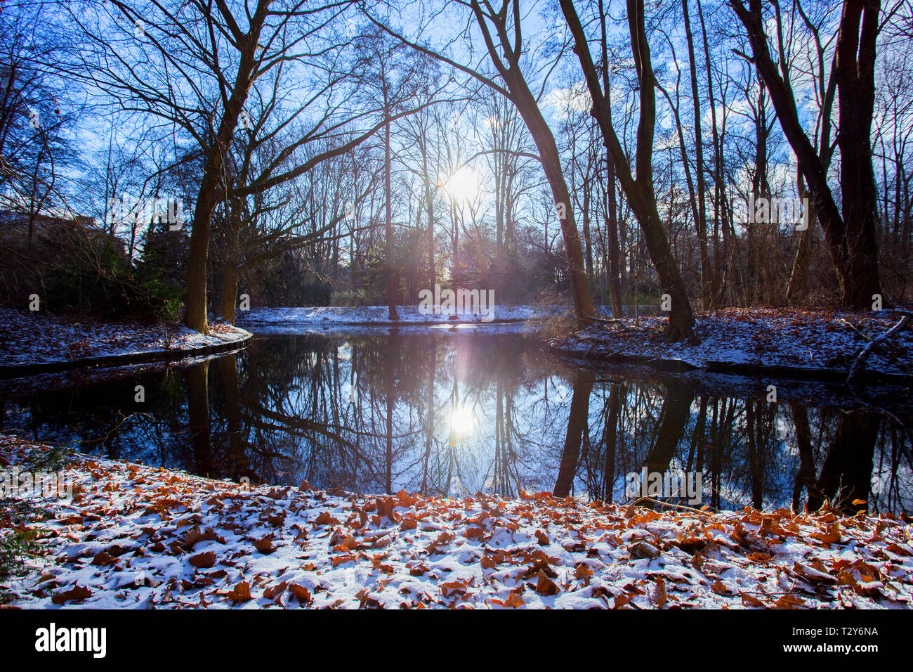 Winter in Tiergarten Stockfoto