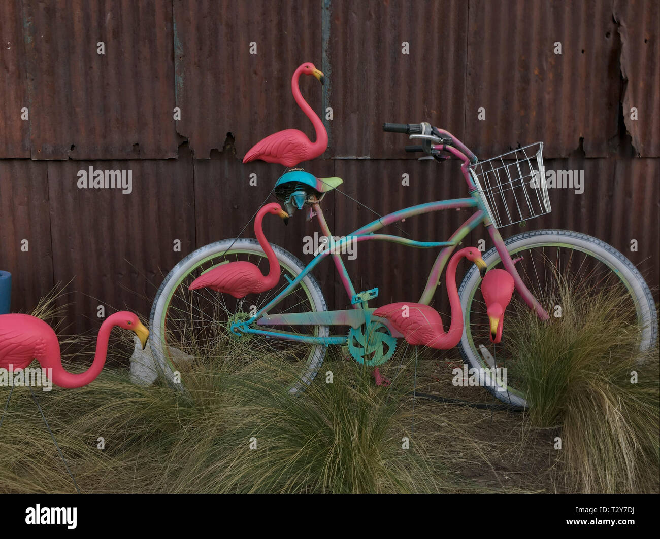 Fahrrad geschmückt mit rosa Flamingos. Stockfoto