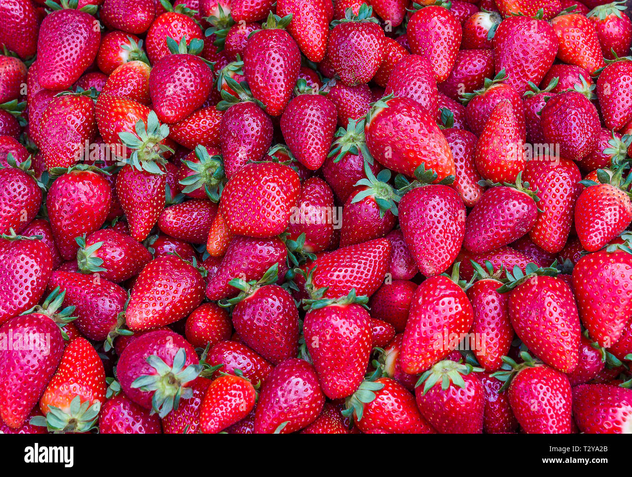 Erdbeeren Hintergrund. Erdbeeren essen Hintergrund Stockfoto