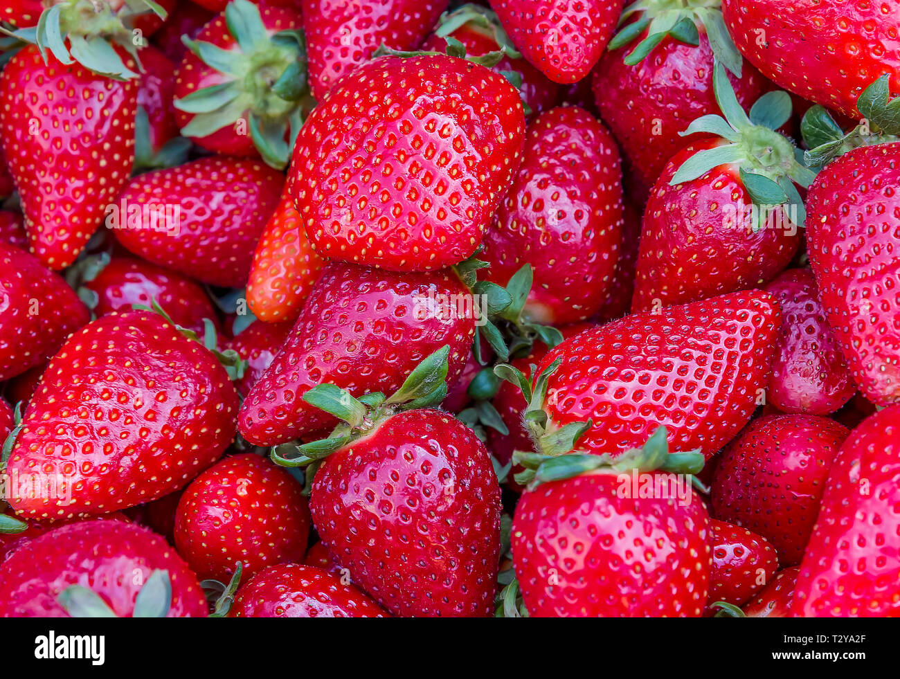 Erdbeeren Hintergrund. Erdbeeren essen Hintergrund Stockfoto
