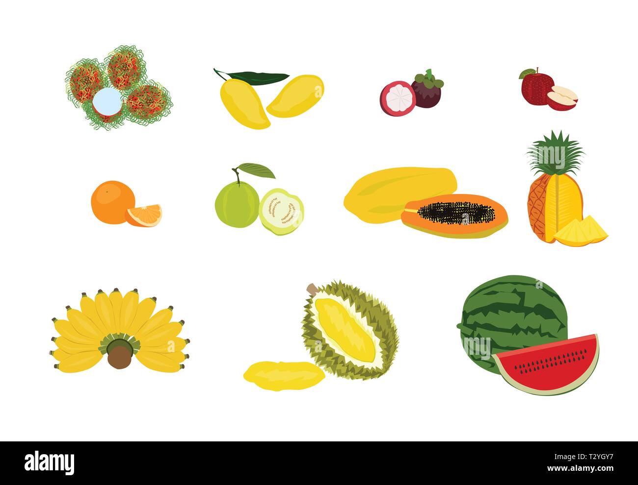 Verschiedene Arten von Obst weißen Hintergrund, von bunten Obst Vektor isoliert Stock Vektor