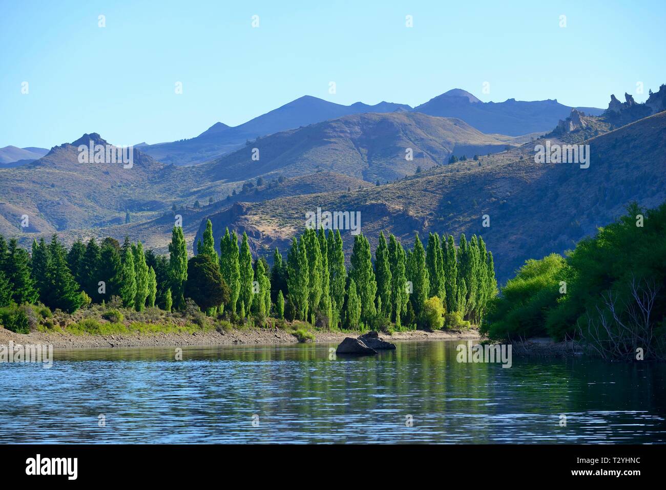 Grüne Tal Rio Limay, Valle Encantado, Anden, Provinz Neuquen, Patagonien, Argentinien Stockfoto