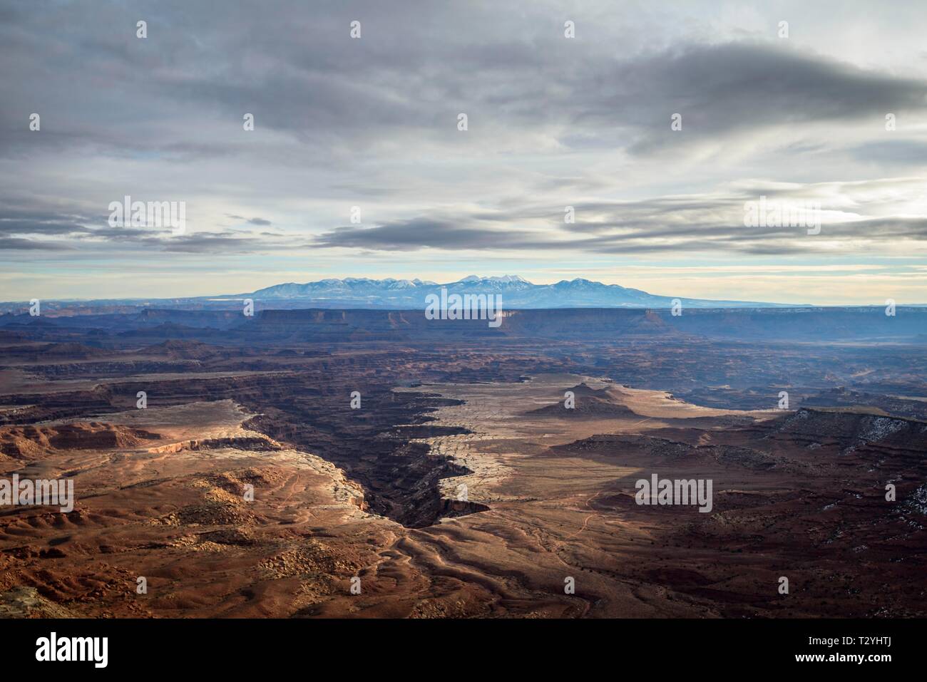 Blick vom Grand View Point mit Blick auf die Erosion Landschaft, Felsformationen, Monument Basin, White Rim, zurück Bergkette La Sal Mountains, La Sal Stockfoto