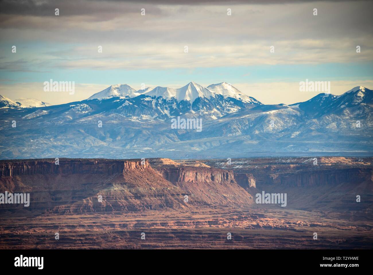 Blick vom Grand View Point, La Sal Mountains, La Sal, Insel im Himmel, Canyonlands National Park, Moab, Utah, USA Stockfoto