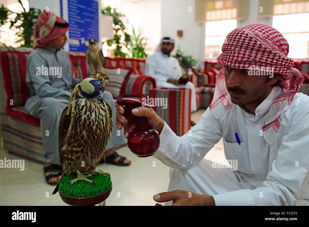 Arabische sprays Falken mit Wasser, Wartezimmer in Falcon Hospital, Souq Waqif, Doha, Qatar Stockfoto