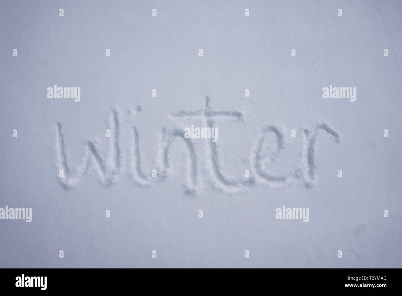 Winter Wort in einem kalten Schnee Hintergrund Stockfoto