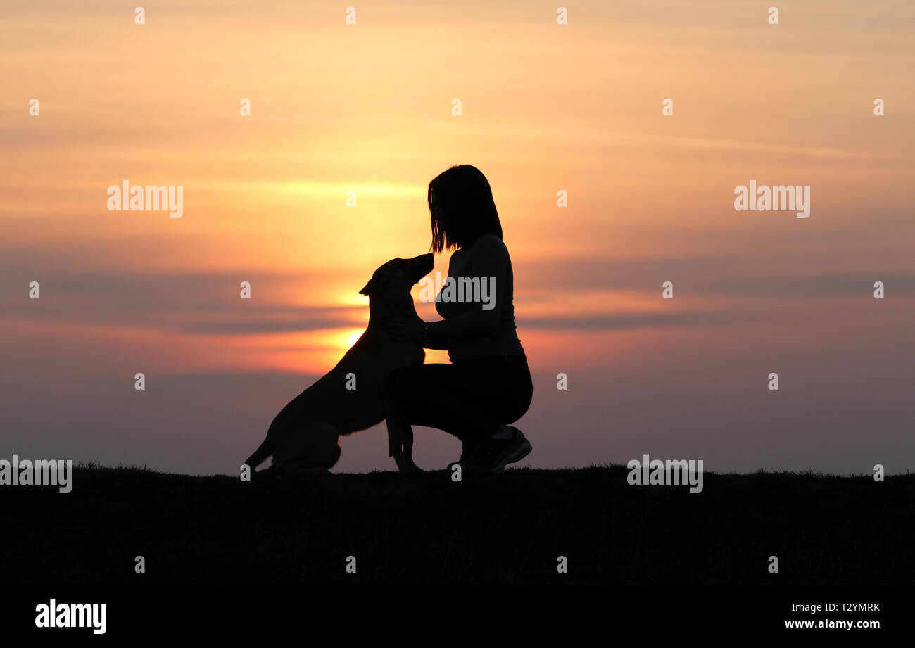 Silhouetten bei Sonnenuntergang, Mädchen und Hund vor dem Hintergrund der unglaublichen Sonnenuntergang, Belgische Schäferhund Malinois, Schmuse Stockfoto