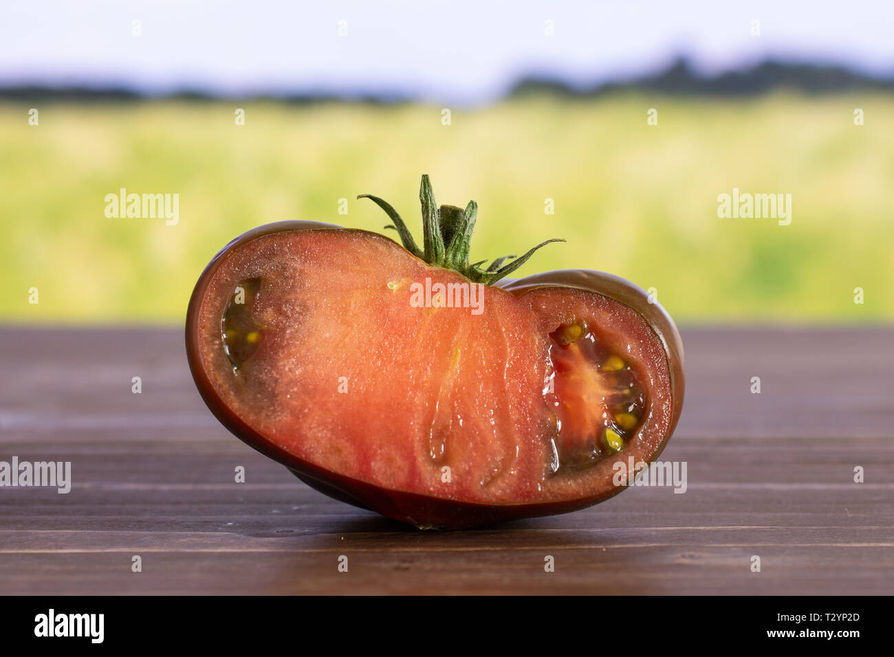 Die Hälfte der frischen Tomate primora mit grünen Weizenfeld Stockfoto