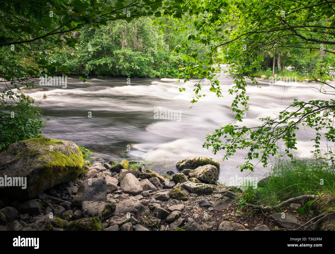 Fluss fließen schnell in langen Belichtung geschossen mit üppigen Laub Wald am Sommertag in Finnland Stockfoto