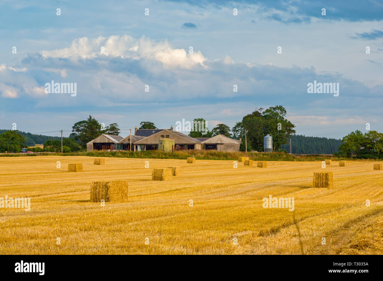 Anzeigen von landwirtschaftlichen Gebäuden unter einem Feld von Gerste in der Nähe von Portsoy in Aberdeenshire Scotland Stockfoto