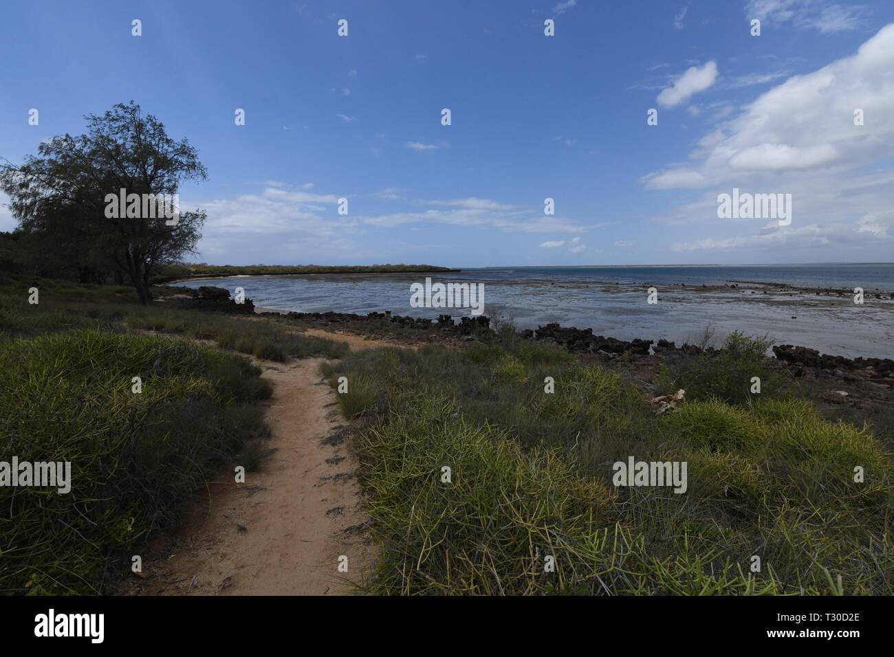 Kingfish Bay von Heron Point auf Azura Quilalea Private Insel, Quirimbas Archipel, Mosambik, Afrika Stockfoto