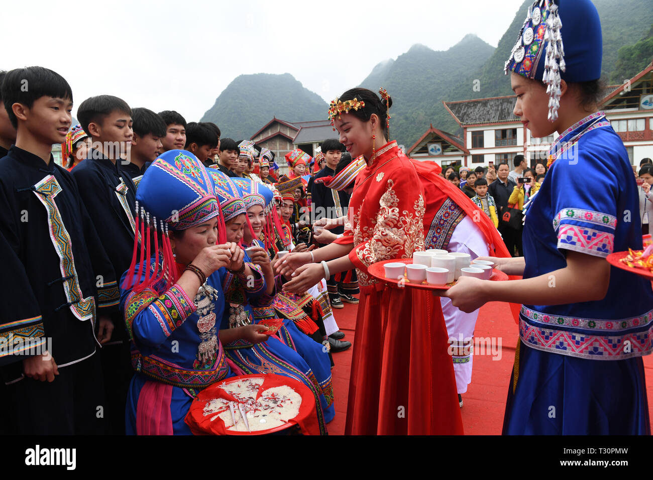 Du'an, China Guangxi Zhuang autonomen Region. 4 Apr, 2019. Ein 'paar' behandeln Sie latives' mit Tee während einer Performance von Hochzeit brauch der Zhuang ethnische Gruppe in Du' ein Yao autonomen County, South China Guangxi Zhuang autonomen Region, 4. April 2019. Credit: Lu Boan/Xinhua/Alamy leben Nachrichten Stockfoto
