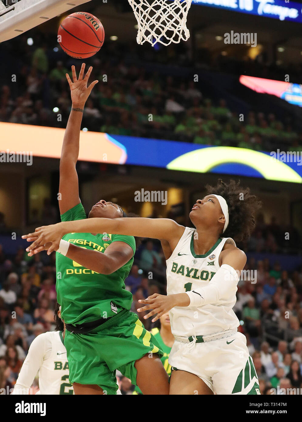 City, Florida, USA. 5 Apr, 2019. MONICA HERNDON | Zeiten. Oregon Enten, Ruthy Hebard (24) Laufwerke an den Korb Baylor Dame trägt vorwärts NaLyssa Smith (1) In der ersten Hälfte in den abschließenden vier Halbfinalespiel der NCAA Frauen an der Amalie Arena am Freitag, 5. April 2019. Credit: Monica Herndon/Tampa Bay Zeiten/ZUMA Draht/Alamy leben Nachrichten Stockfoto