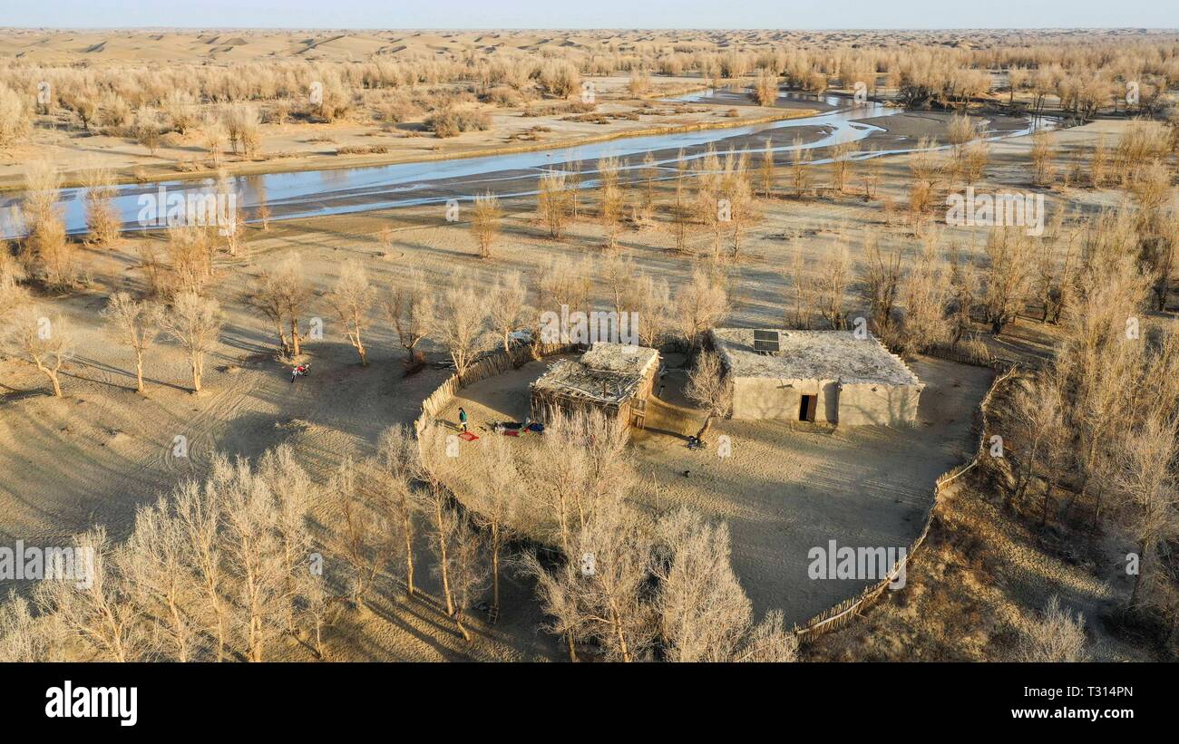 Peking, China. 17 Mär, 2019. Luftbild am 17. März 2019 zeigt die Imin Haus entlang der Keriya Fluß an der Taklimakan Wüste in Darya Boyi Stadt Yutian County im Nordwesten Chinas Autonomen Region Xinjiang Uygur genommen. Credit: Hu Huhu/Xinhua/Alamy leben Nachrichten Stockfoto