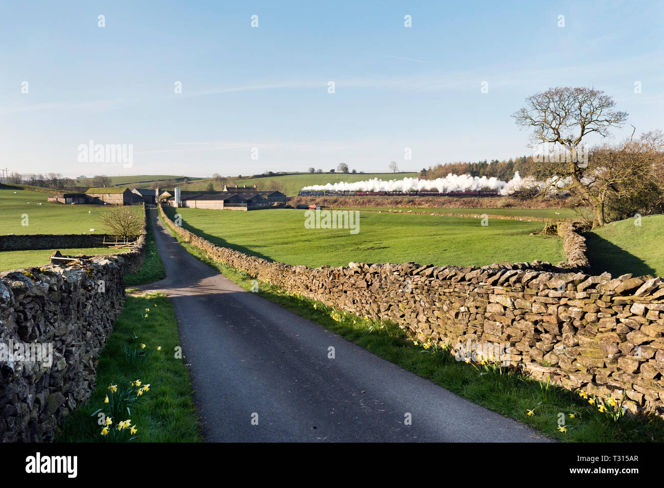 Vereinbaren, North Yorkshire, UK. 06 Apr, 2019. Anfang an einem Frühlingsmorgen' Der Wensleydale Railway" Dampf spezielle Pässe Armitstead, Lawkland, in der Nähe von Settle, North Yorkshire. Der doppelköpfige Dampf Special ist von zwei Lokomotiven, Nummern 48151 und 35018 "British India". Der Zug läuft aus Carnforth über York nach Northallerton und dann für einen Tag laufen auf der Wensleydale Museumsbahn in den Yorkshire Dales. Quelle: John Bentley/Alamy leben Nachrichten Stockfoto