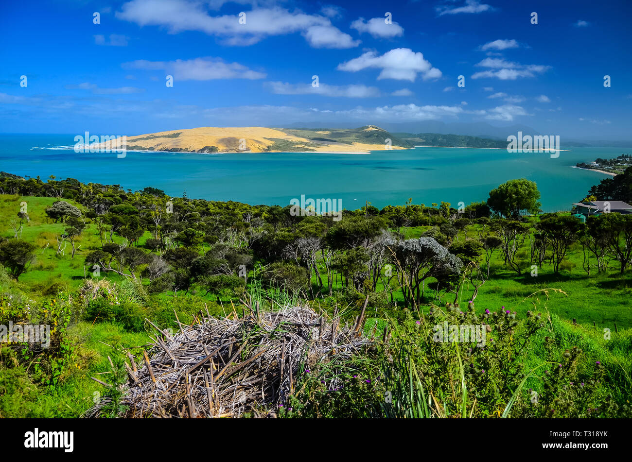 Pakia Hill Lookout mit blaues Meer, blauer Himmel, Northland, North Island, Neuseeland. Stockfoto
