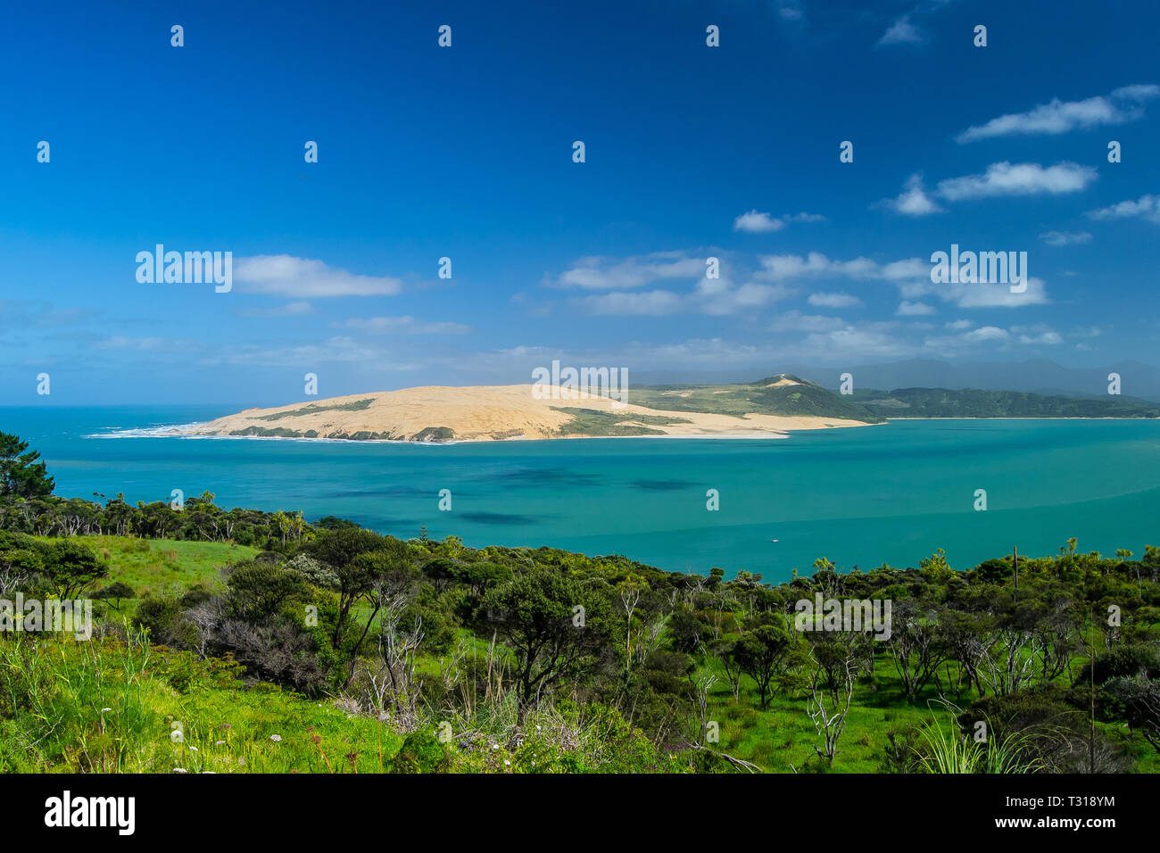 Pakia Hill Lookout mit blaues Meer, blauer Himmel, Northland, North Island, Neuseeland. Stockfoto