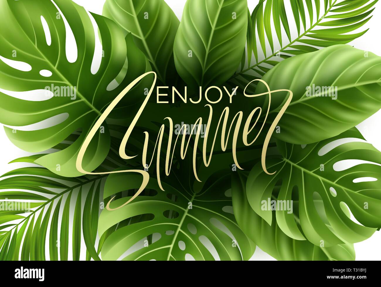 Sommer Poster mit tropischen Palmen Blatt und Handschrift Schriftzug. Vector Illustration EPS 10. Stock Vektor