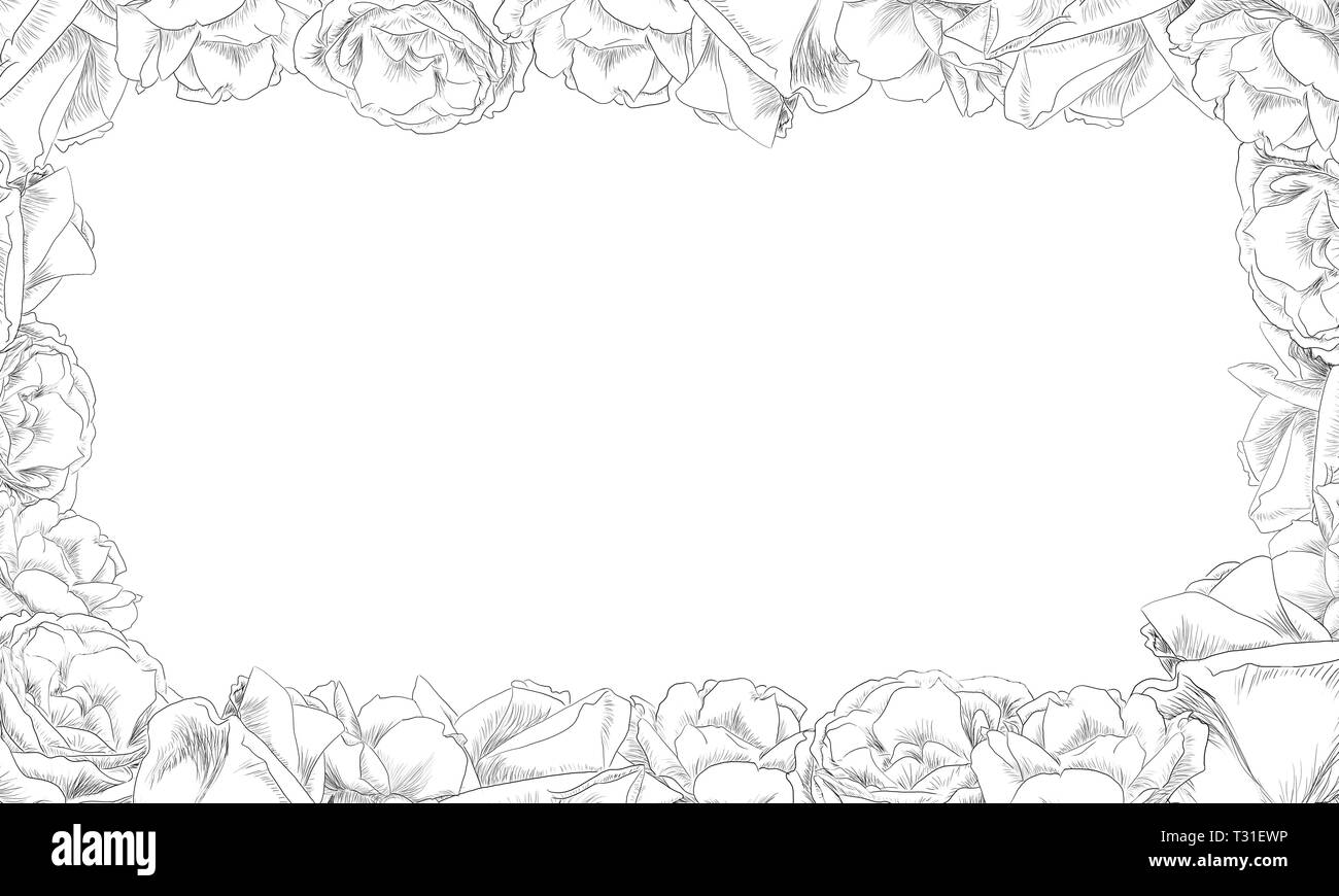 Gezeichnet von Rosen weißen Hintergrund durch jziprian Stockfoto
