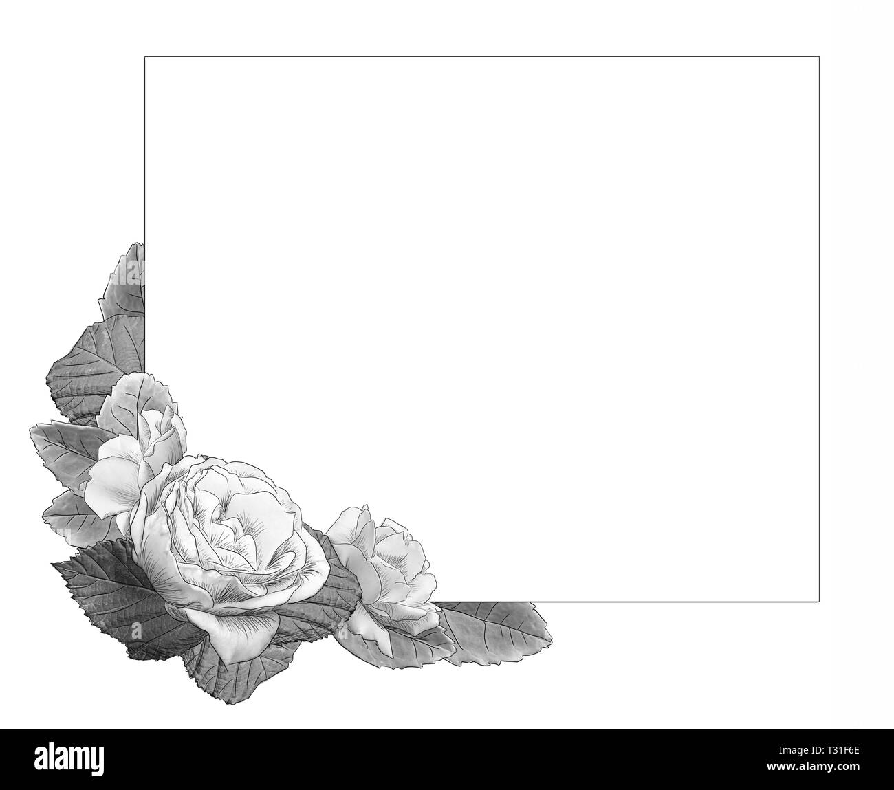 Monochrome_square frame_Rosen Dekoration_schwarzer Outline_durch jziprian Stockfoto