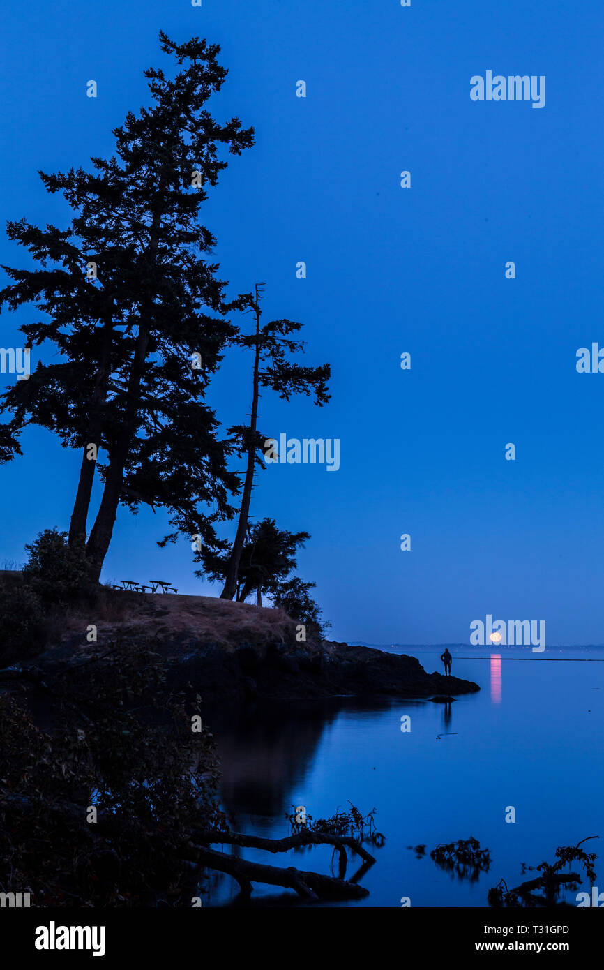 Eine einsame Gestalt, stehend auf einem Punkt des Landes beobachten den Vollmond über dem Wasser und Vancouver Island. Haro Strait, San Juan Island, Washington, USA Stockfoto