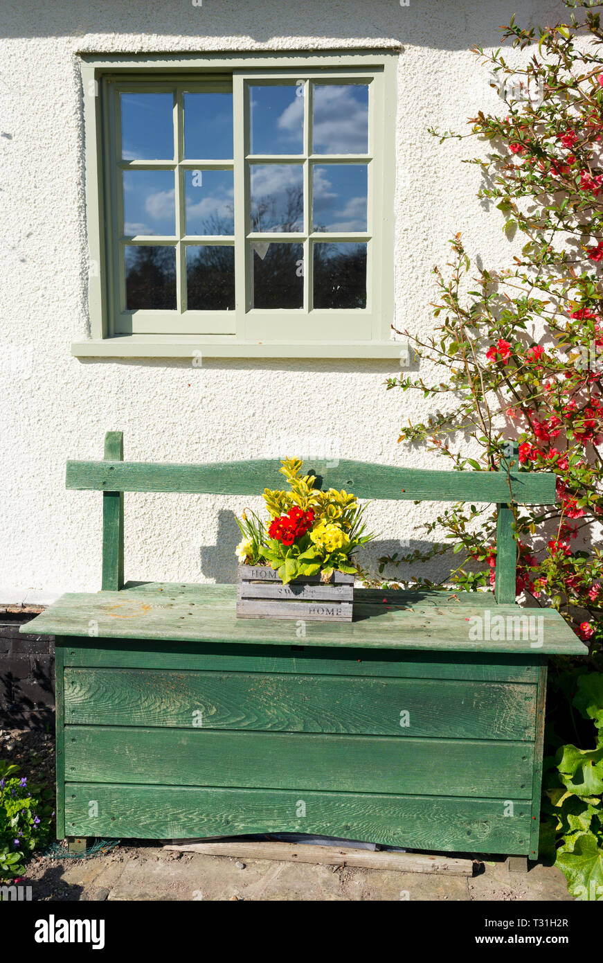 Vintage green Holzbank mit kleinen Blumentopf unten Fenster der traditionellen britischen Country House. Stockfoto