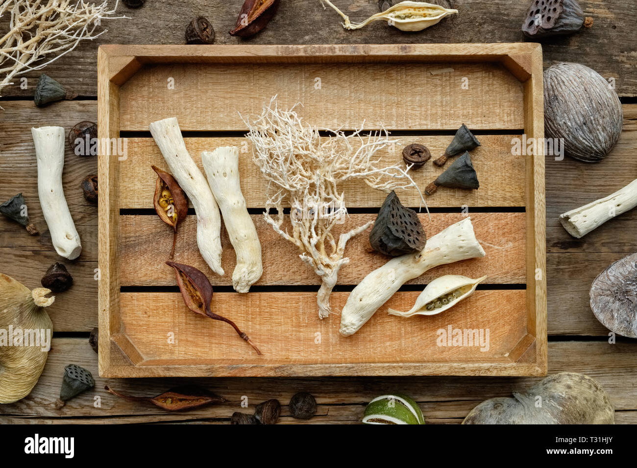 Holzkiste, getrocknete Wurzeln, Nussschale, Kokosnüsse, chemische Anlagen, Eukalyptus, Lotus Samen für die Floristische Gestaltung auf alten Holz- Board. Ansicht von oben. Stockfoto