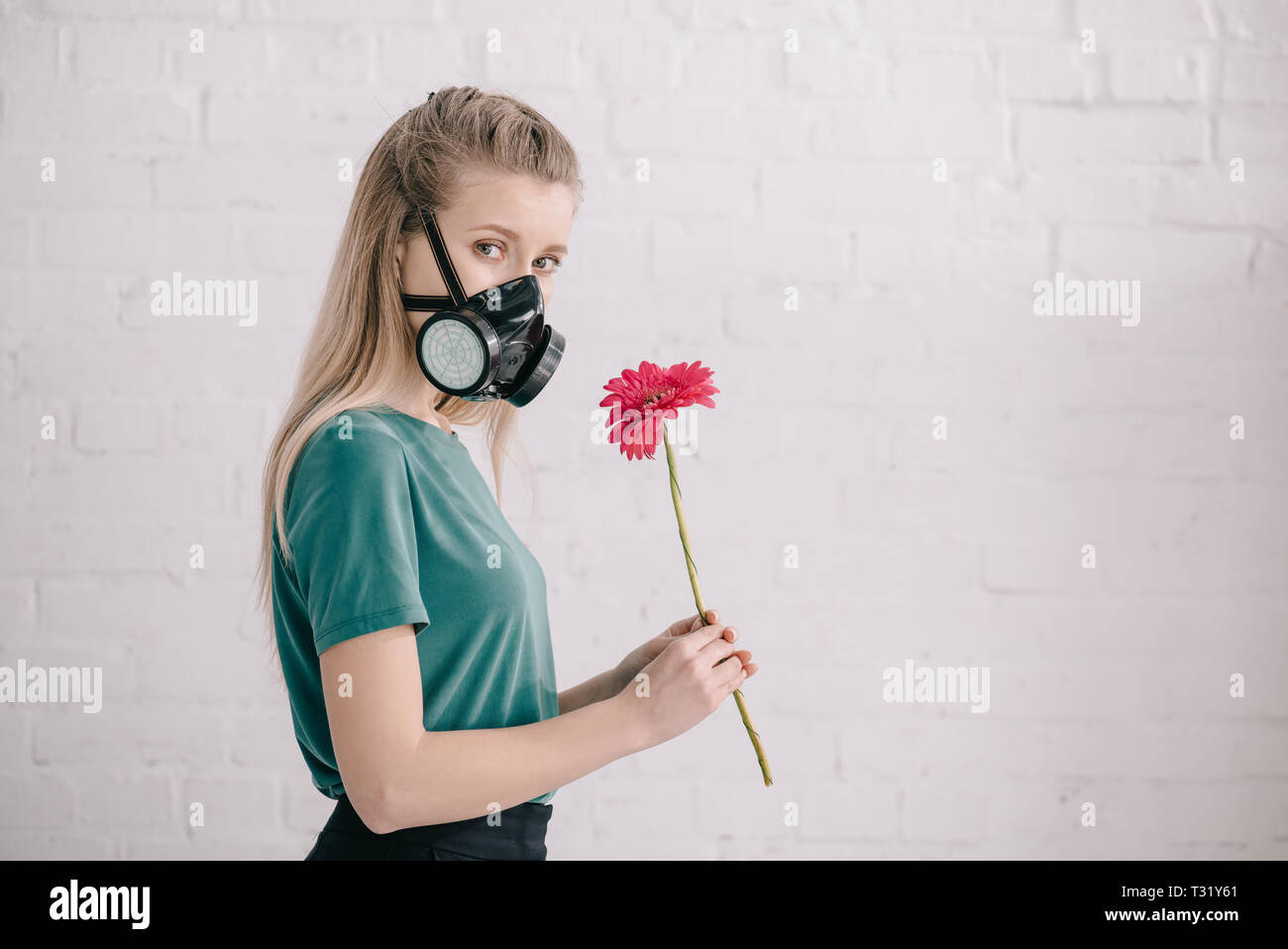 Blonde Mädchen mit pollenallergie Atemschutzmaske tragen und halten Rosa  Gerbera Blume in der Nähe der Mauer Stockfotografie - Alamy