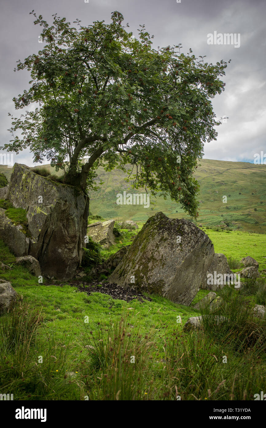 Szene aus dem Lake District, England Cumbri Stockfoto