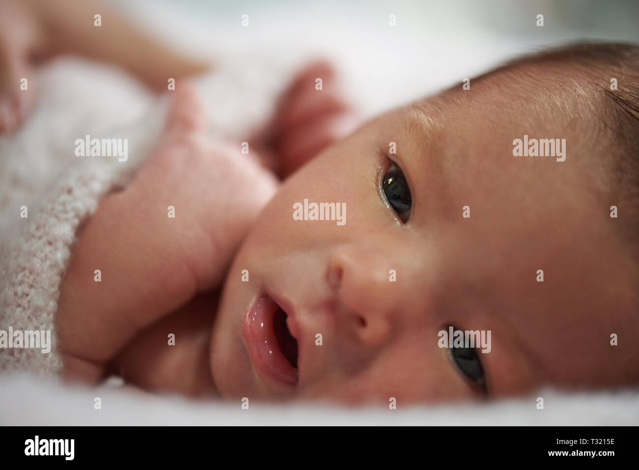 Close-up Portrait von Neugeborenen mit offenen Augen Stockfoto