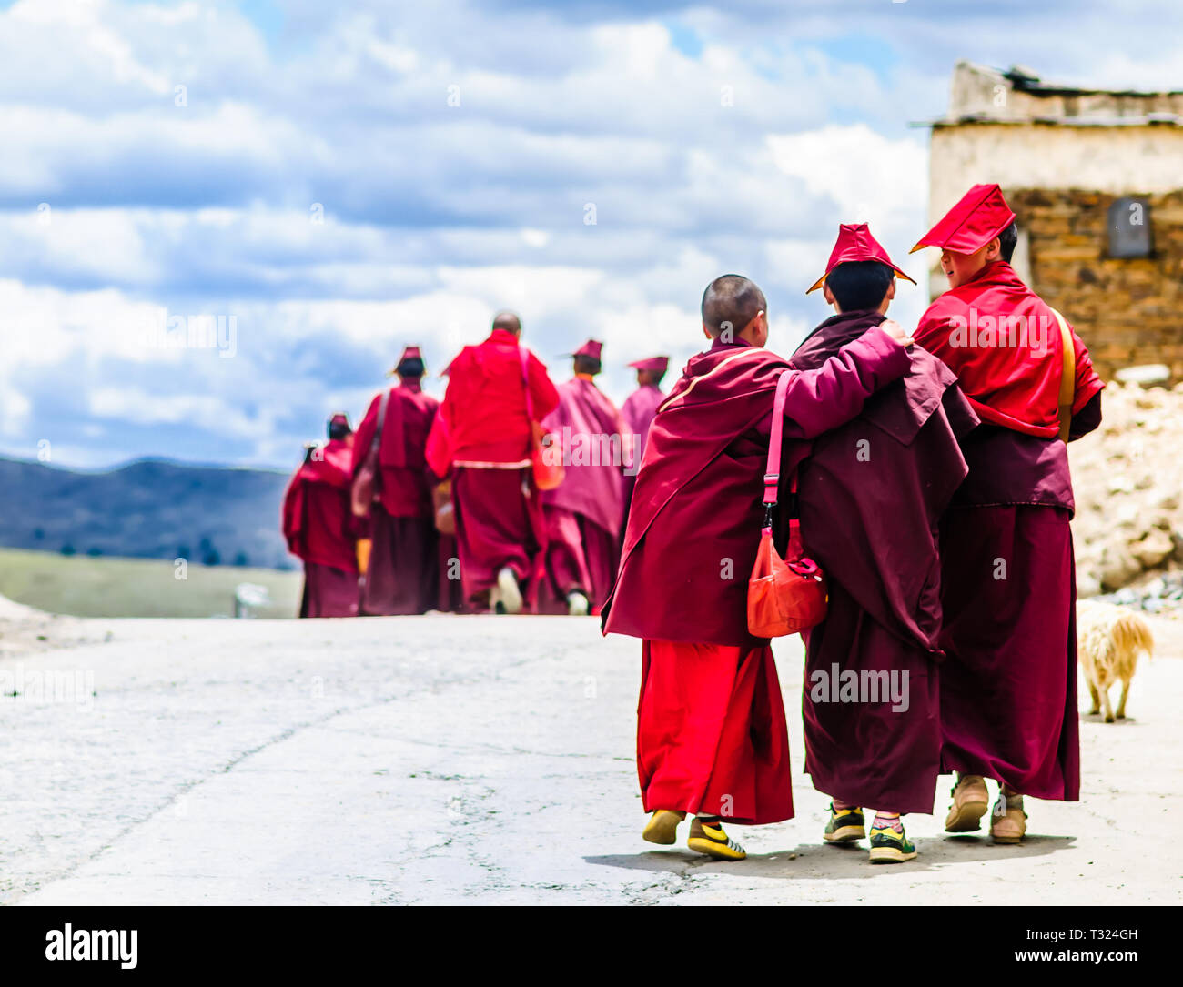 Gruppe der tibetische Kinder buddhistische Mönche Wandern Stockfoto