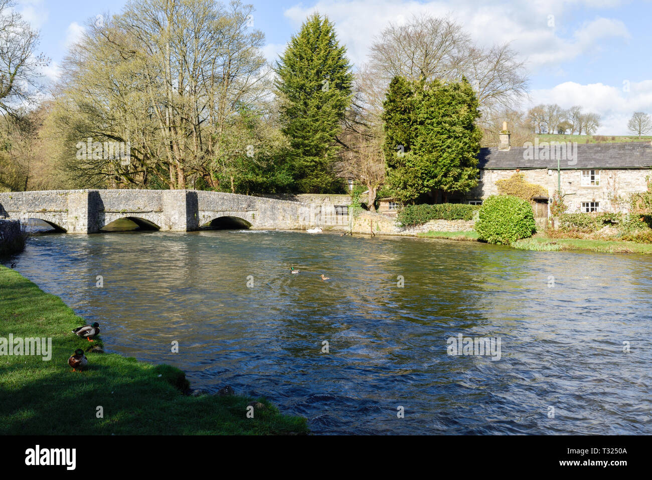 Ashford Im Wasser am Ufer des Flusses Wye in der Derbyshire Peak District, UK. Stockfoto
