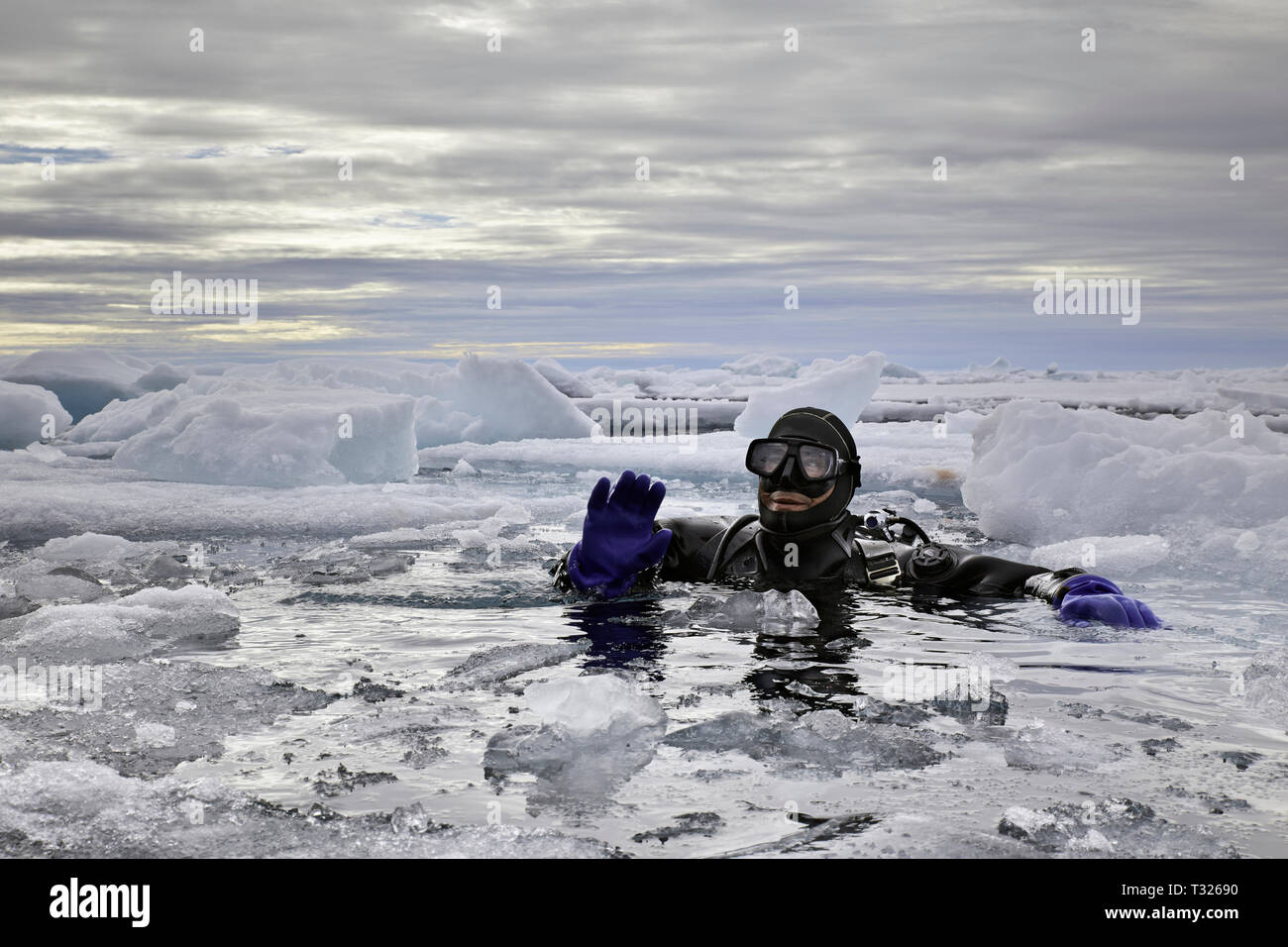 Tauchen im Arktischen Meer, Spitzbergen, Arktis, Norwegen Stockfoto