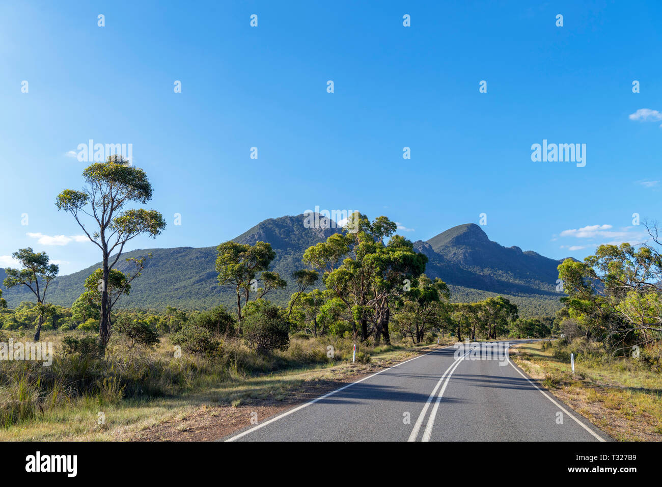 Grampians Road (C216) im Grampians National Park, Victoria, Australien Stockfoto