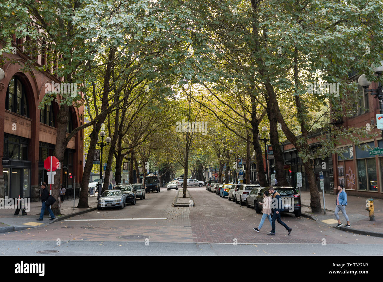 Bewaldeten Straße in der Innenstadt von Seattle, Washington, USA. Stockfoto