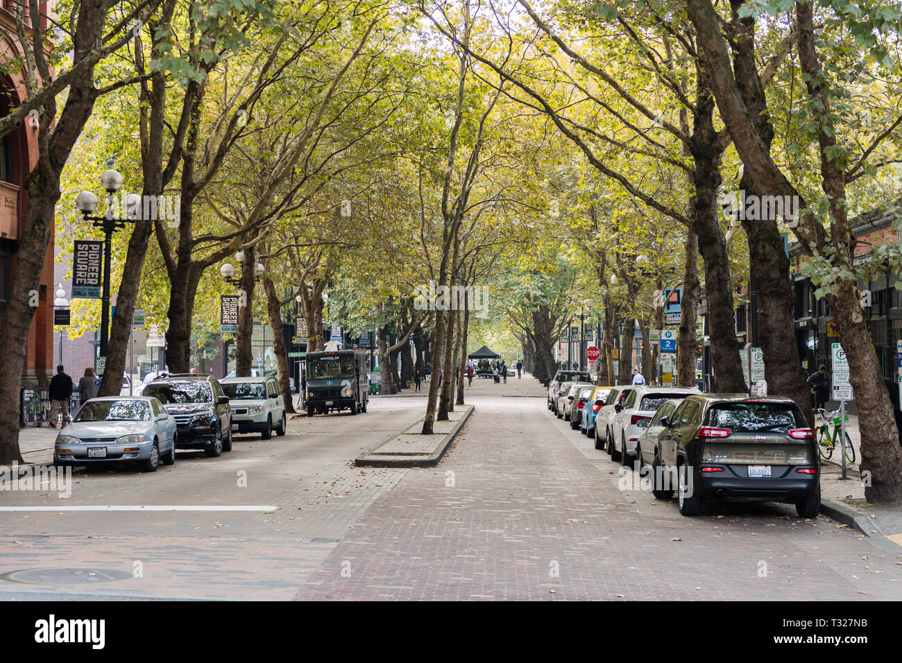 Bewaldeten Straße in der Innenstadt von Seattle, Washington, USA. Stockfoto