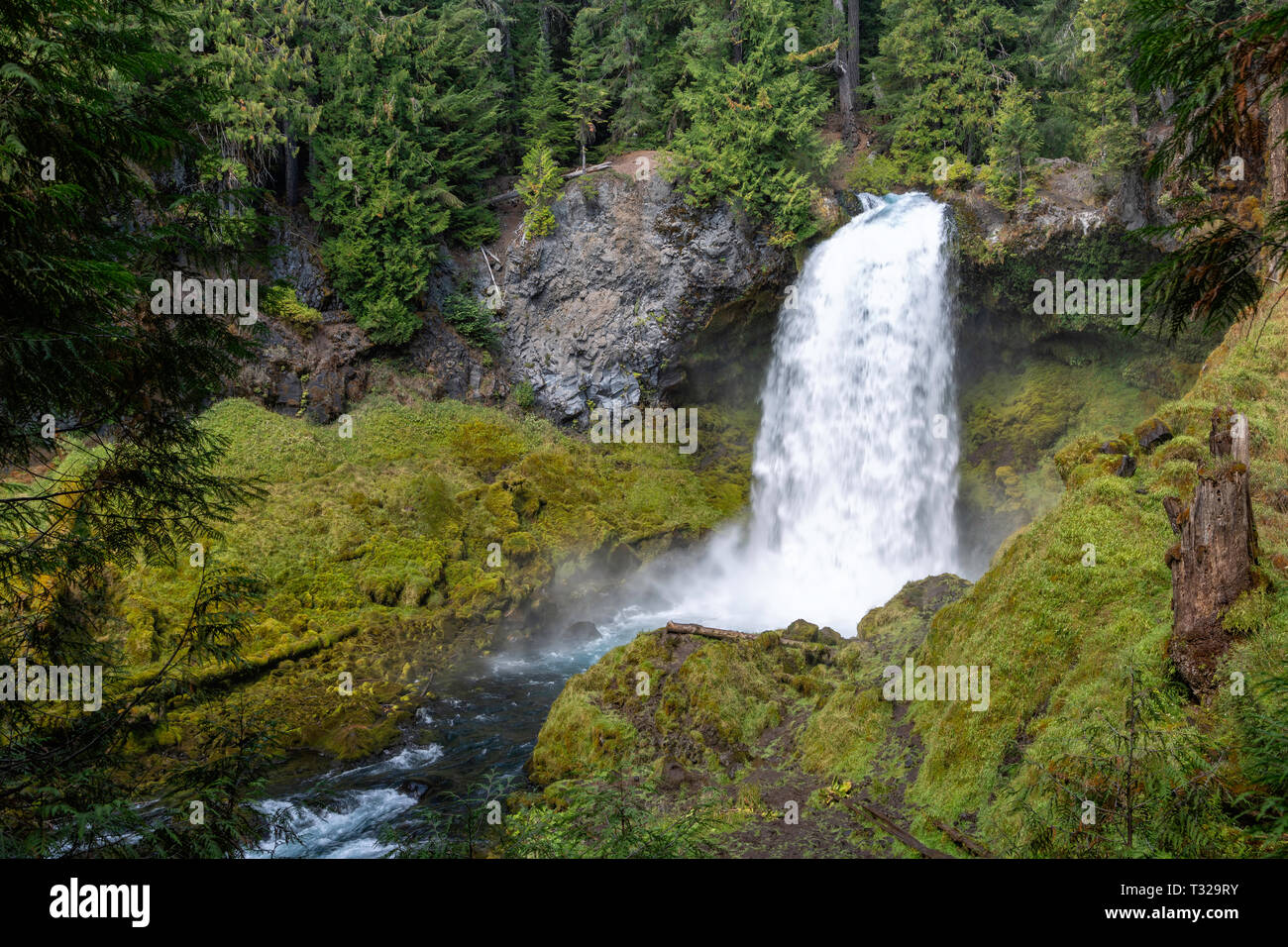 Sahalie Falls, Oregon Stockfoto