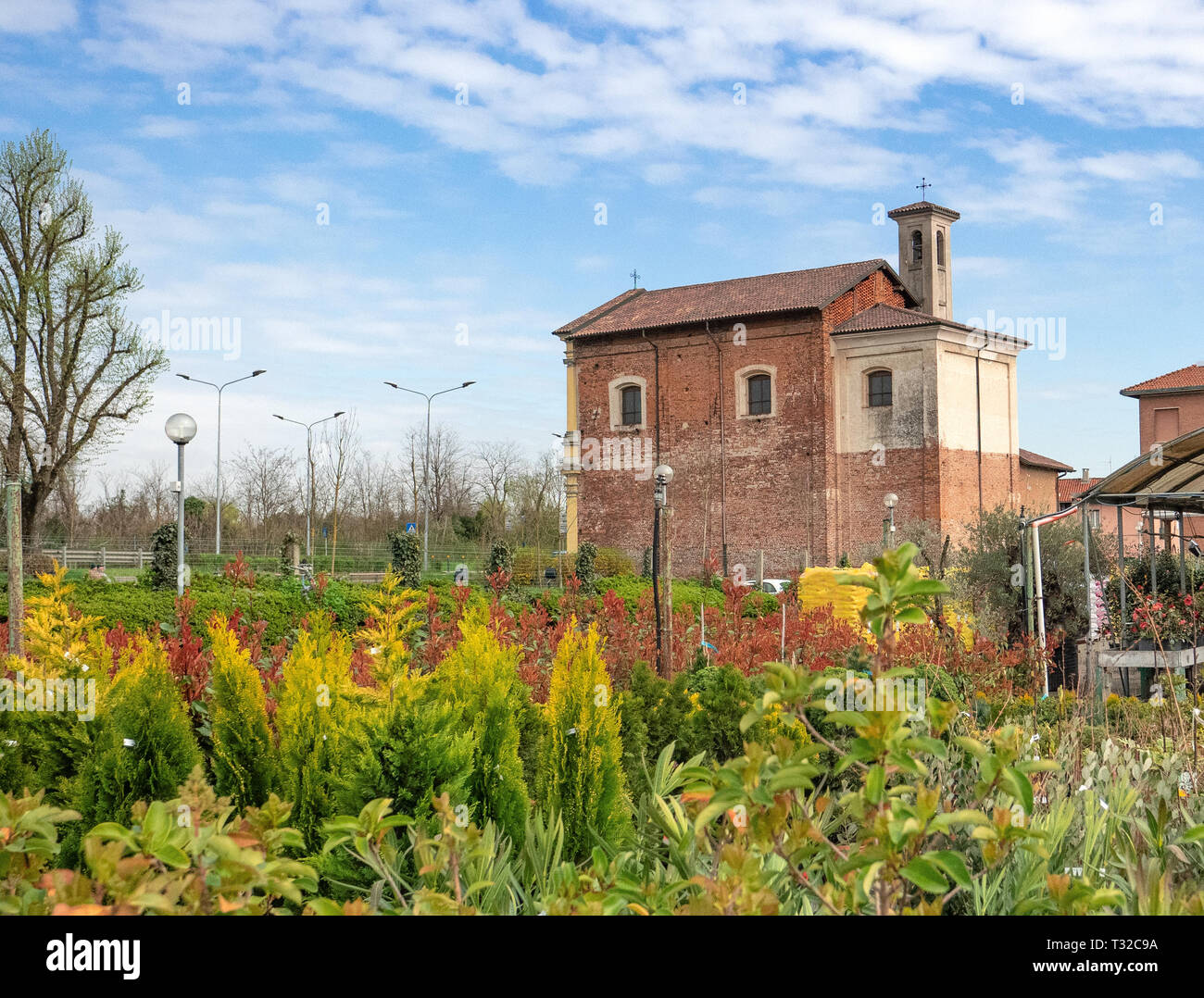 Wunderschönes Panorama in einer Baumschule im Freien Stockfoto
