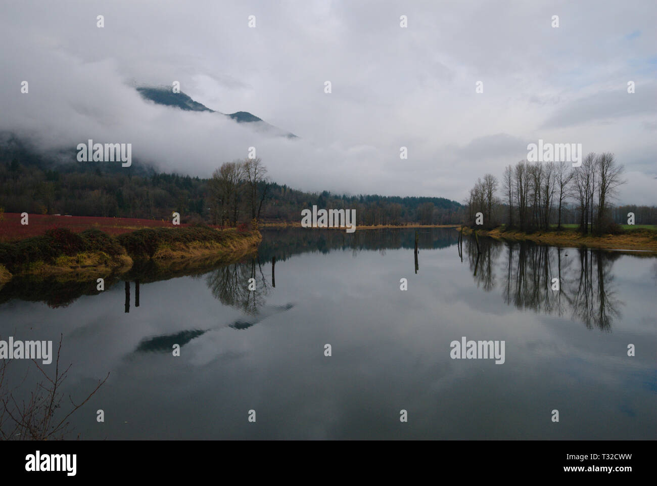 Am ruhigen Ufer des Vedder River spiegelt sich ein turbulenter grauer, bedeckter Himmel in Chilliwack, British Columbia, Kanada, wider Stockfoto
