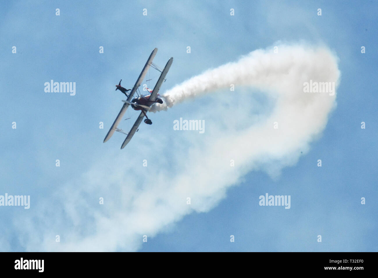 190330-N-KM 072-010 KEY WEST, Fla. (30. März 2019) Wing walker Ashley Shelton Posen auf dem Flügel von einem FM-2 Wildcat pilotiert von ihrem Ehemann, Greg, während der 2019 südlichsten Luft spektakuläre Air Show. Die Zweitägigen show 20.000 Zuschauer angezogen und präsentiert den Stolz und die Professionalität der US Navy. Naval Air Station Key West ist die State-of-the-art Facility für den Kampf Jagdflugzeug aller militärischen Services, bietet erstklassige pierside Unterstützung der U.S.- und ausländische Marineschiffe, und ist das Premier Training Center für die Oberfläche als auch die darunter liegende militärische Operationen. (U.S. Marine Foto von Da Stockfoto